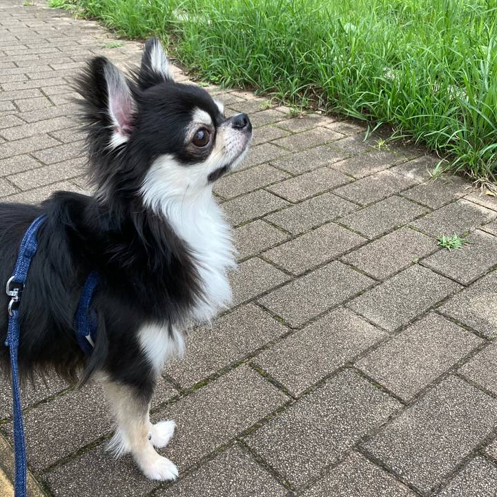 A9300776 f7da 42ba b668 8d588b5d6e5a 1624597108609