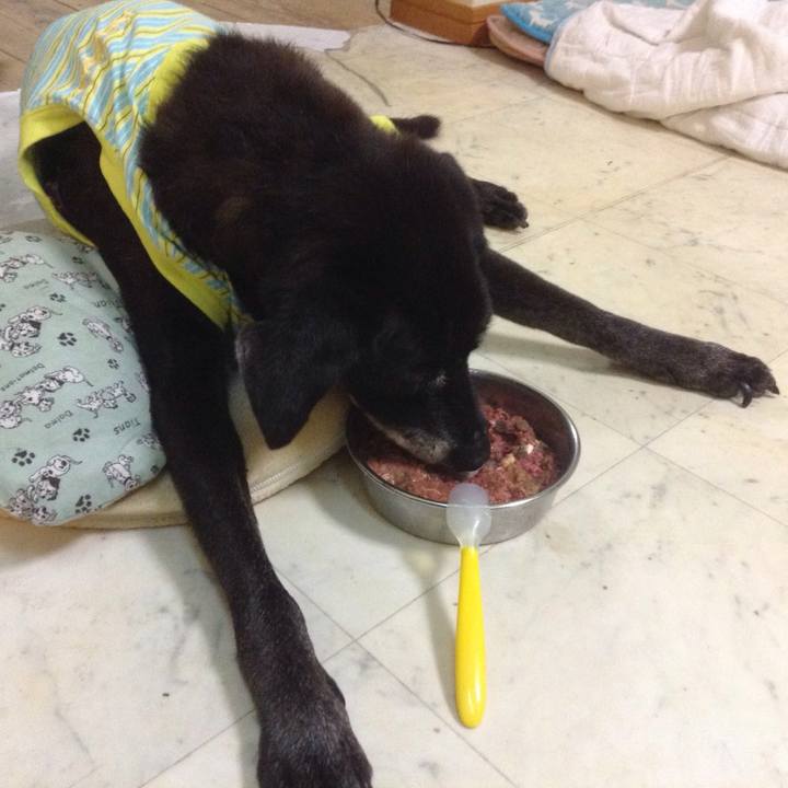 A9301eaa 4079 4c8a 8a0f c432069b4e96 1513570342061