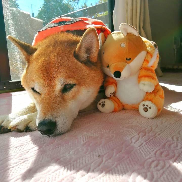 A9302bb0 1f75 47e3 bcff 3add9d590705 1667188021672