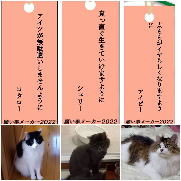 A93039d7 fd7a 430c 9bd7 d247781a8420 1657199902959