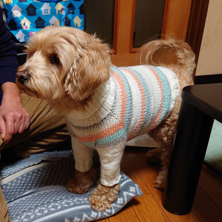 A9305b40 2988 4bb4 ac62 985b3a72b19e 1704040136500