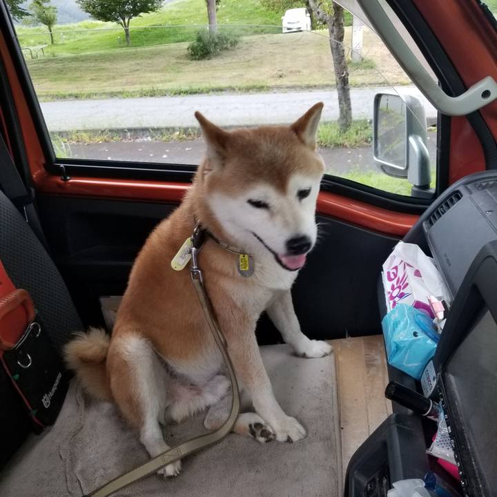 A9307546 1c8f 4152 a8b0 6749623c9947 1662536833311