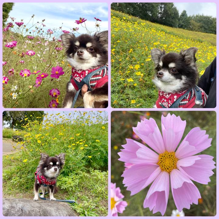 A9307cdc aecf 4170 9c73 8f4e88123a53 1666850011060