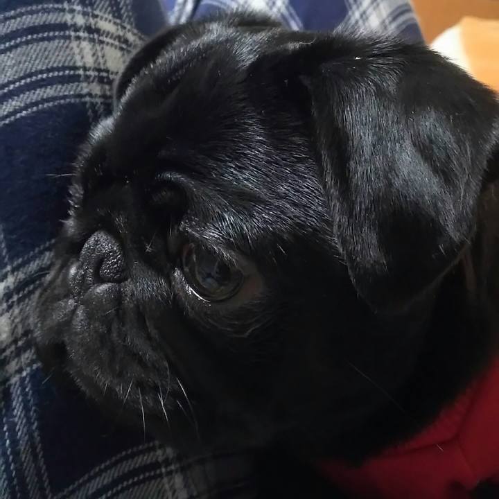 A930953d ec08 4e05 b64f 88756b7f99fa 1517496983816