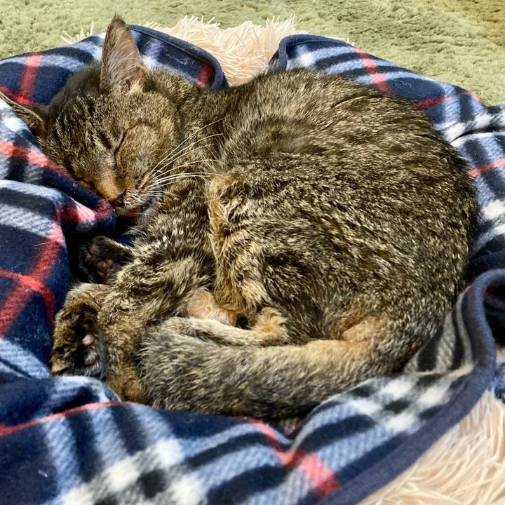 A930c5fa b844 497f afea e3d49aedea1d 1687641228858