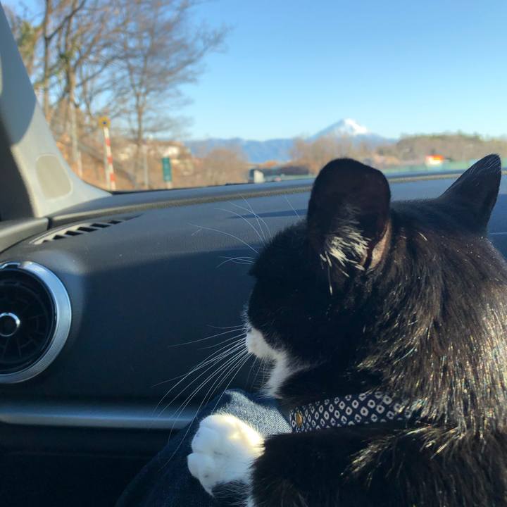 A930c859 268f 4049 b59c 676b21782d0a 1581405038245