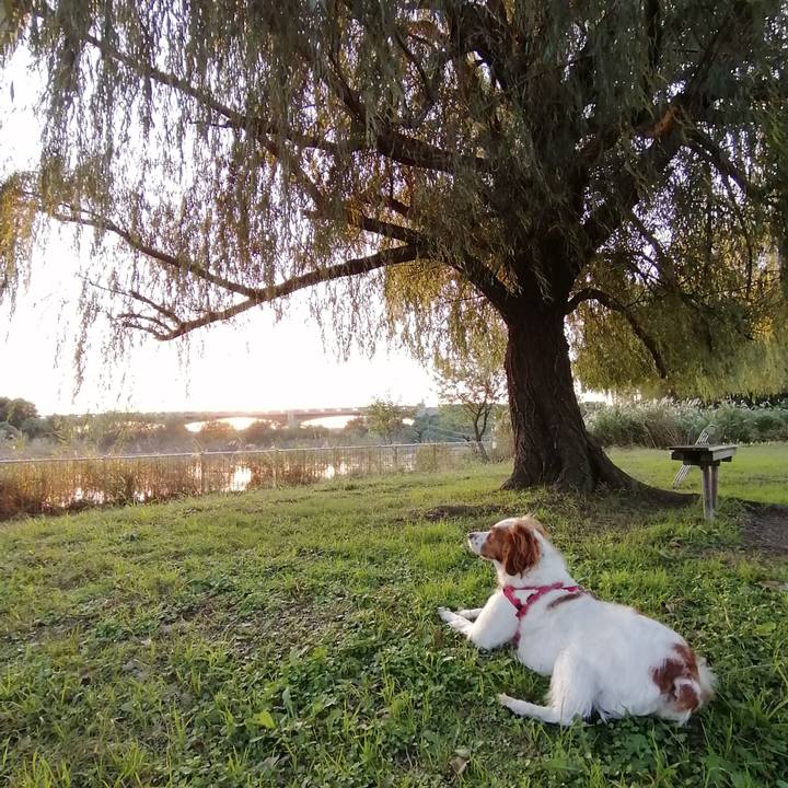 A930d10b fcba 4e9f 9217 b1db86104e14 1572522374075