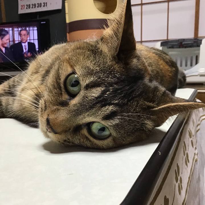 A930f00b 1b01 437e a65f 6941a4fc9386 1647903339192