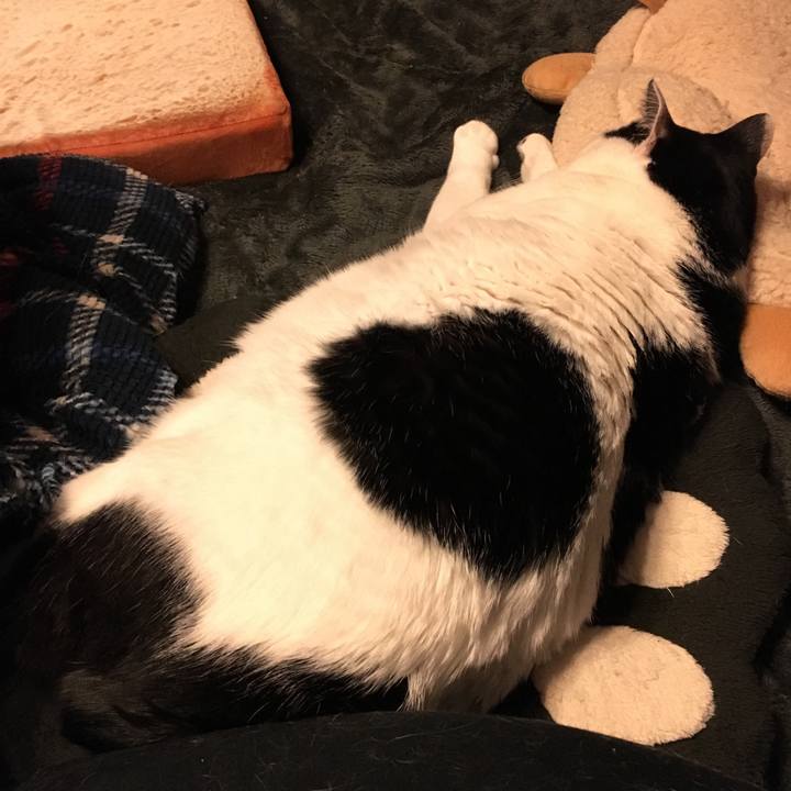 A930fb01 543f 4e8b 8b94 ff3624d54bf3 1512996419584