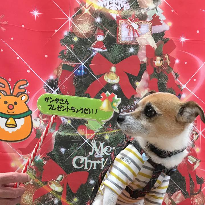 A9311730 4592 4476 b5c2 58a488b5ec0e 1576931420068