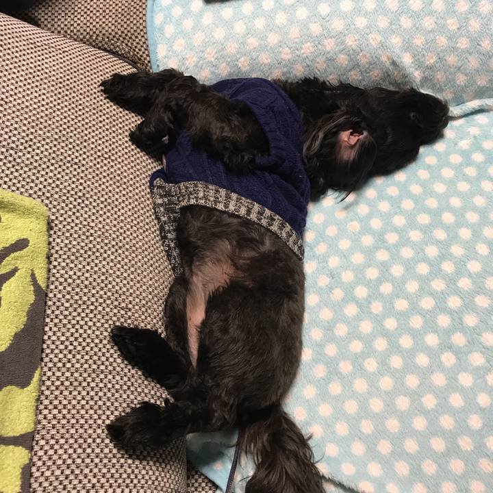 A9311b68 085c 4944 92f7 3acf2d0c66f0 1549983677622