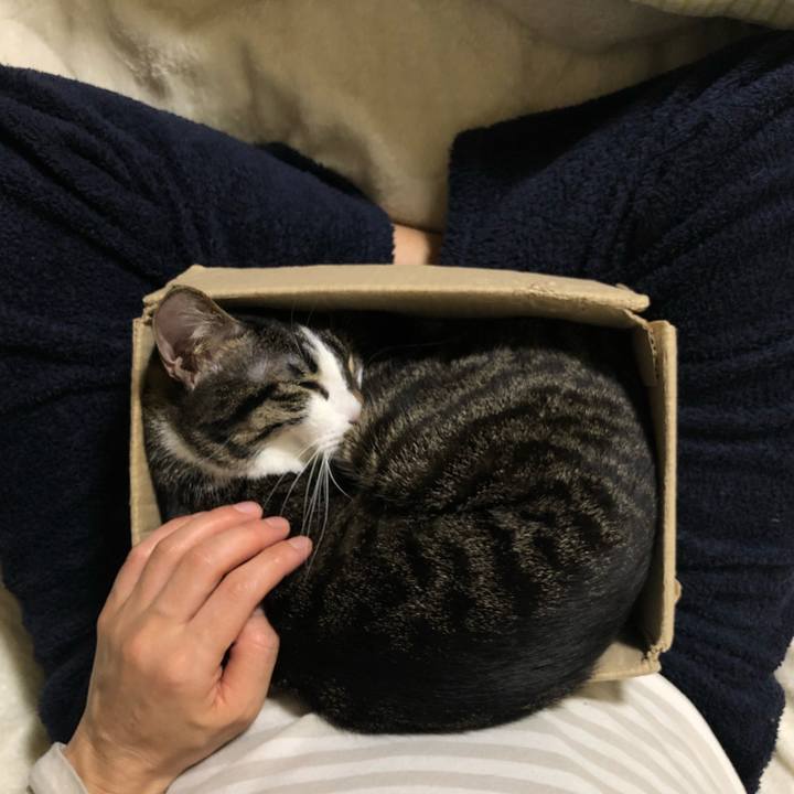 A931369a c336 4adb 8ce5 03a1c6c0dfba 1552160684205