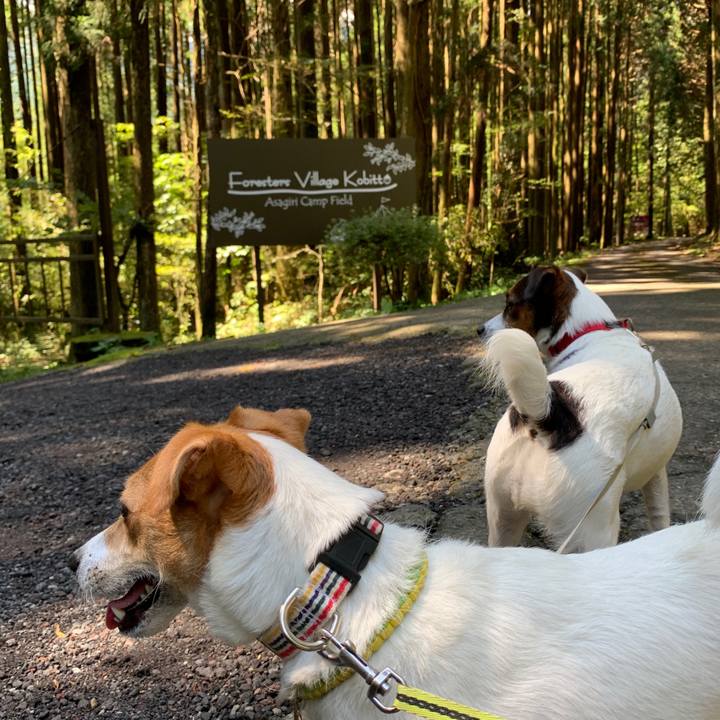 A93148d6 3d5f 4455 b3c6 3fec6be613a4 1599299890025