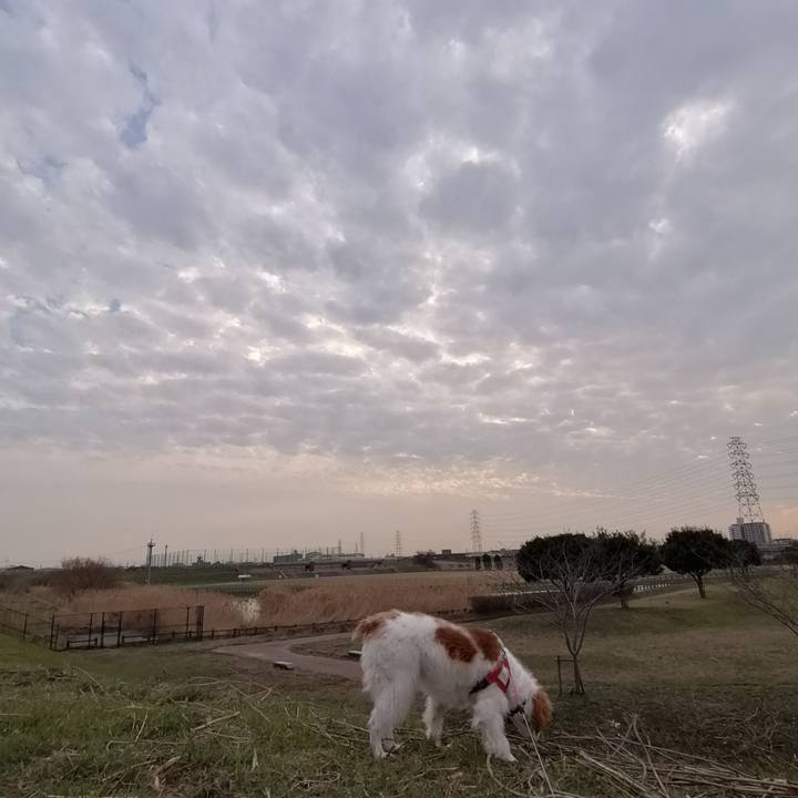 A931a0dd 2553 4223 acd8 8f9f23d737d9 1582631816196