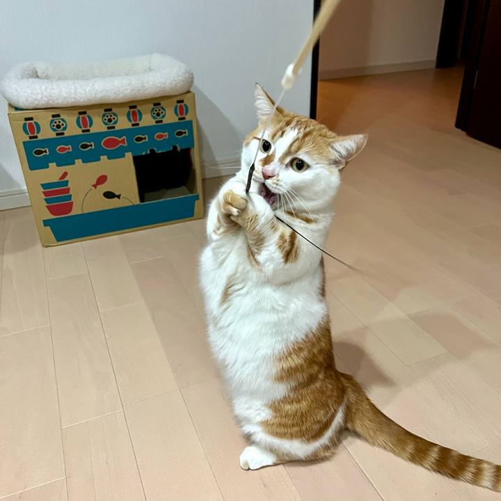 A931d087 0026 453e bd14 9cddb6b0a9f8 1770953877073