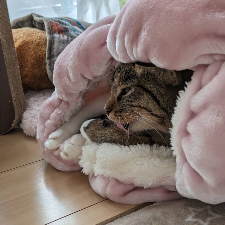 A93222ee 58c5 4f2d ba4a cf84000d0312 1699845977901