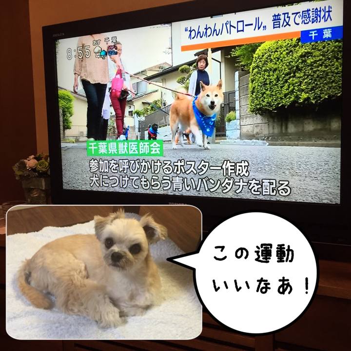 A9322b64 d452 4ee2 810b e2ae39a1a630 1562069188719