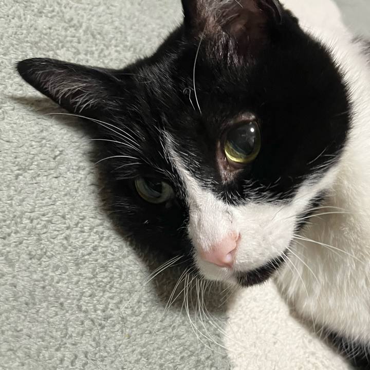 A93237fe 7c3d 4f5e a7dd 2eef8dd6cab9 1776857117228