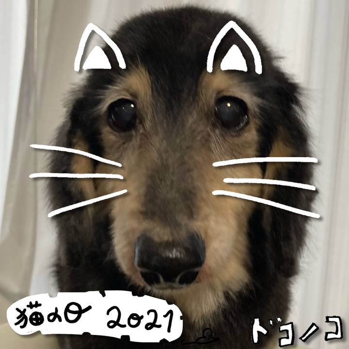 A93269cf 62c2 4f54 bcc7 6c48c29c5ade 1613985232402