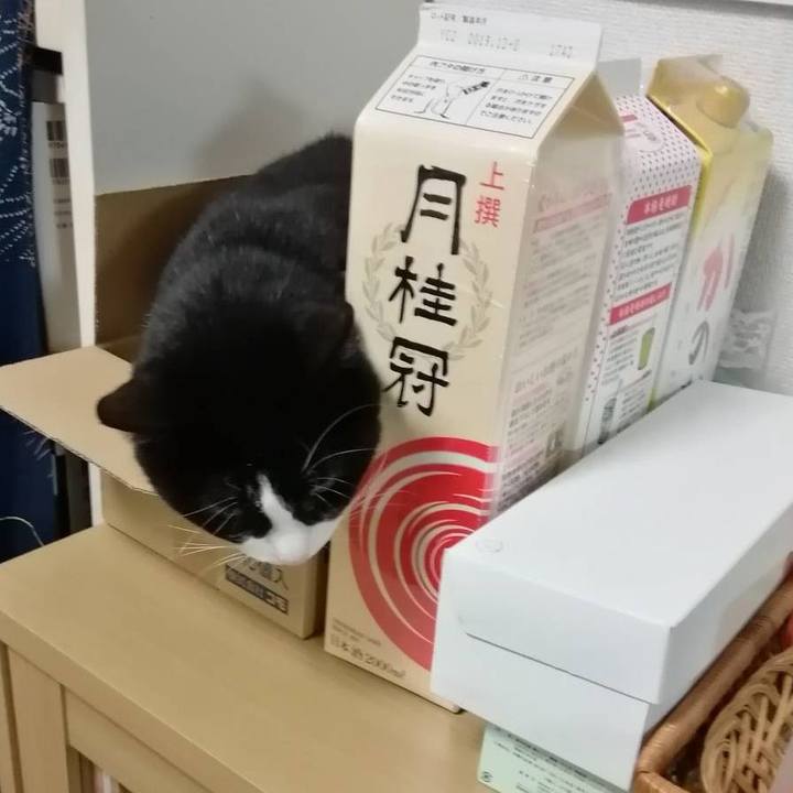 A932732d cf00 41fb b6bb ef6439b3f64c 1581431186533