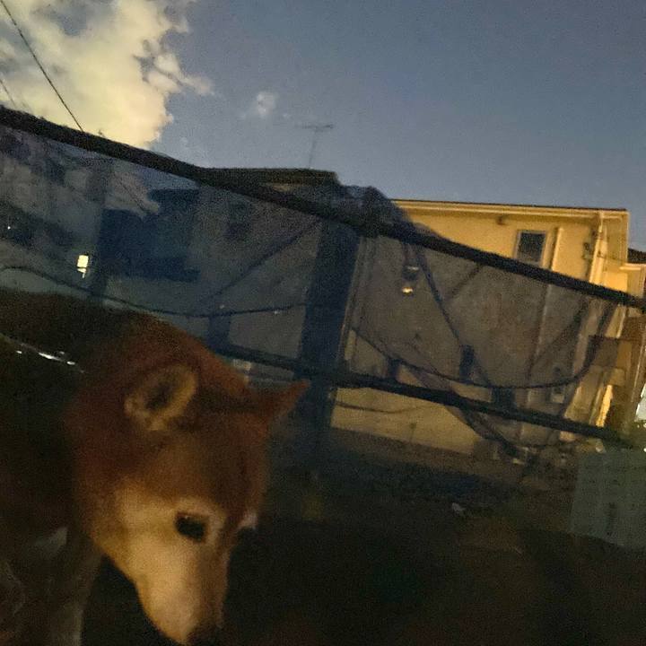 A9328f48 8ab7 42a2 84e4 a3fec7d3db56 1638355649532