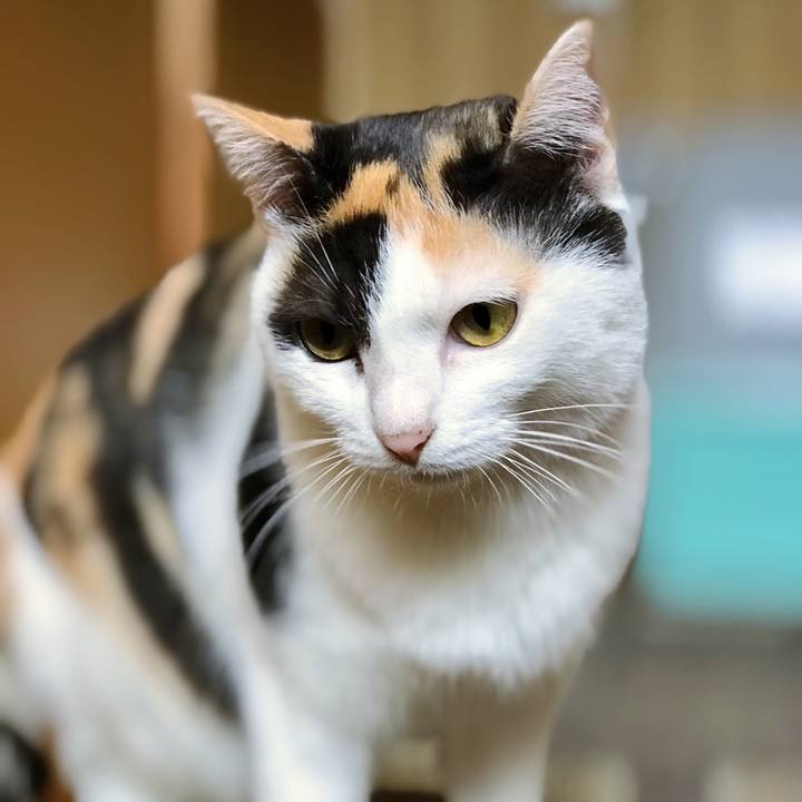 A932abb4 feb5 479f badf 937284d98981 1508548340013