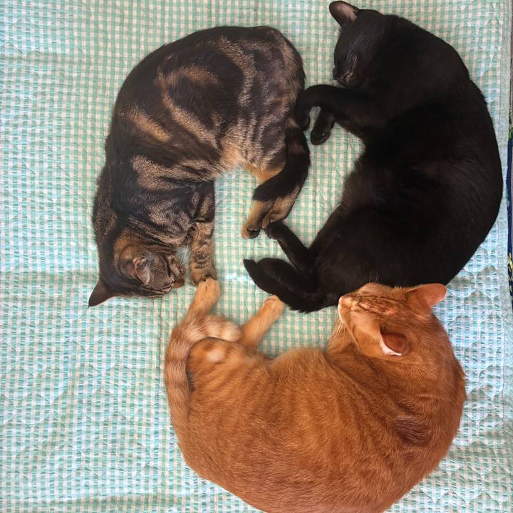 A932fe30 89bc 45e2 a08e d53713416041 1754696788119