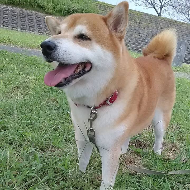 A932ff8a 9f89 496a a9b0 be2dc62427e7 1632385295947