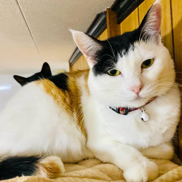 A933047e 5c56 45a2 865a e0e655a26d32 1667564820936