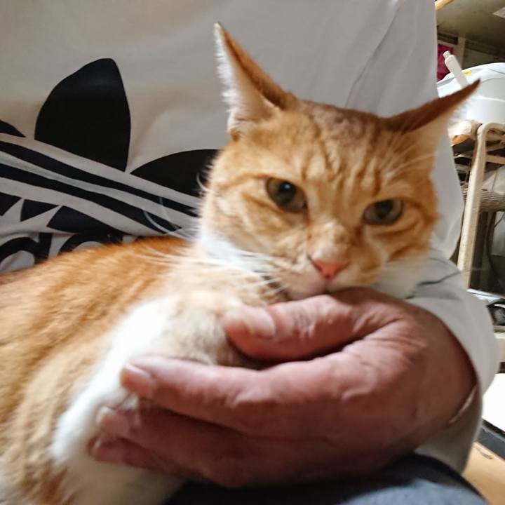 A9335e92 7496 42e1 b453 61fc212c98f6 1600081891829