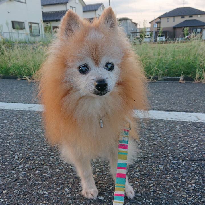 A9336a3e 9848 443c b404 f8e8390272ad 1693866874815