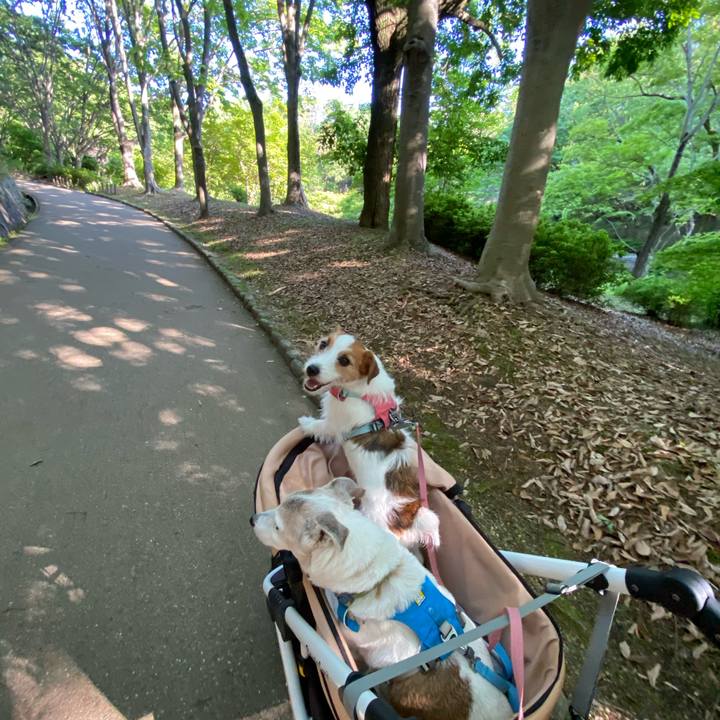 A93387f5 1995 436a 9cf3 6640b7af1095 1714733820394