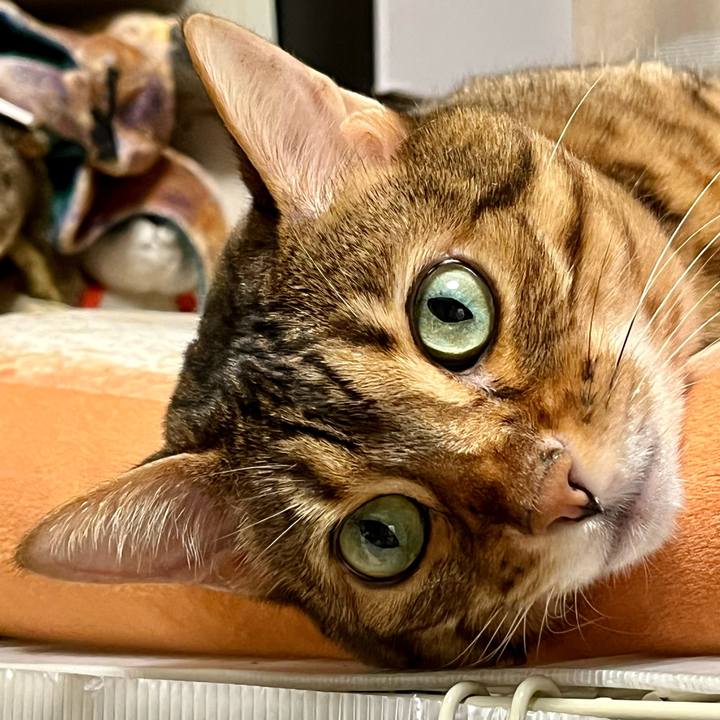 A933dff7 190b 4db6 b3a9 e0f5170f3c67 1661305973330