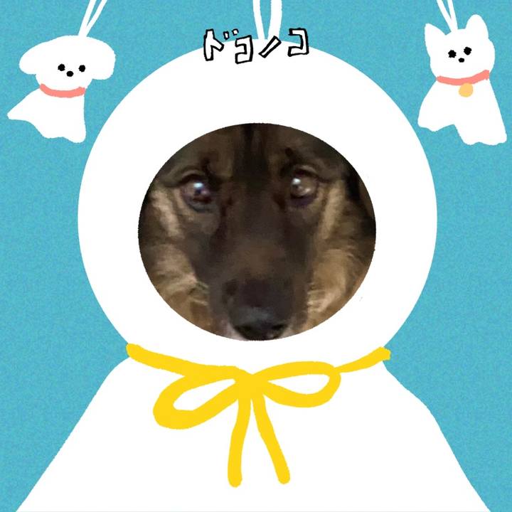 A933f0e1 4da5 4430 808c fc1839d6f73b 1782030763205