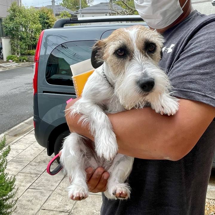 A933f2f6 af95 436e a5ff 699bd08319c7 1650936554866