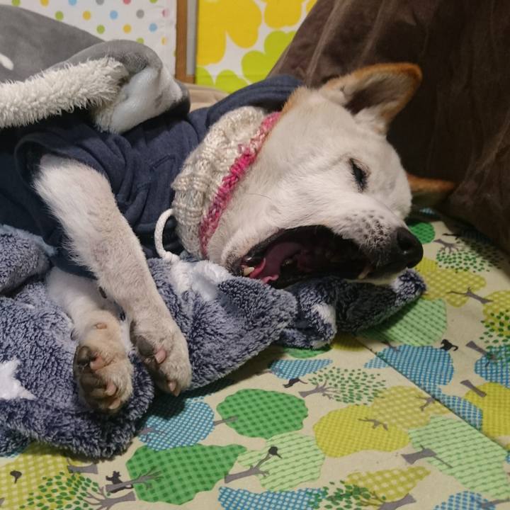 A934369f 0c3b 4852 8337 b376af46673b 1518429305752