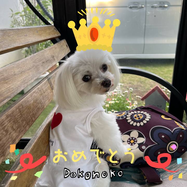 A93438dd b34c 4a10 b42f 37d963598af3 1685971029369