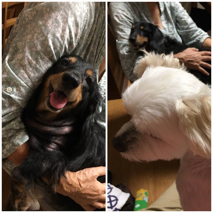 A9345c52 efab 4134 b25e 7a6d96d36aad 1538306205076