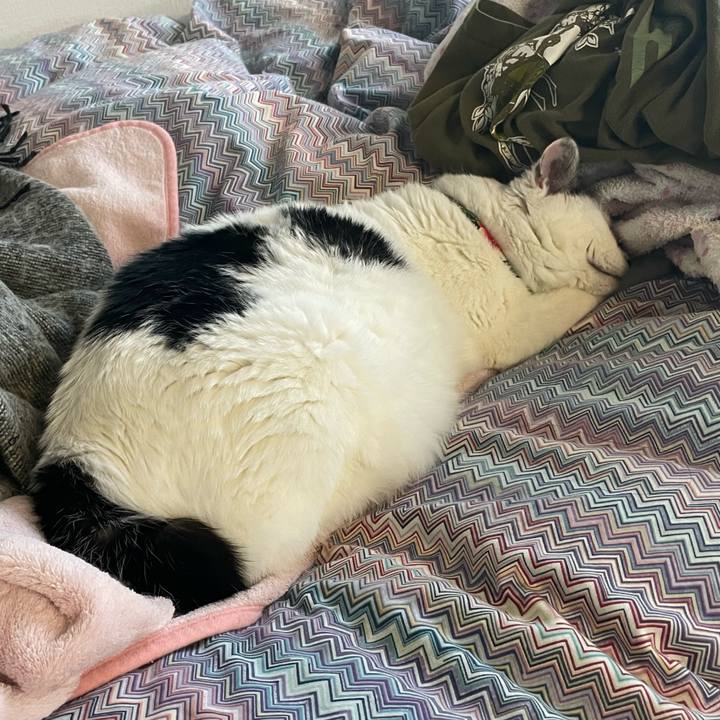 A9349532 0f6d 45a5 b2bd 0a3078cd85c2 1704425605168