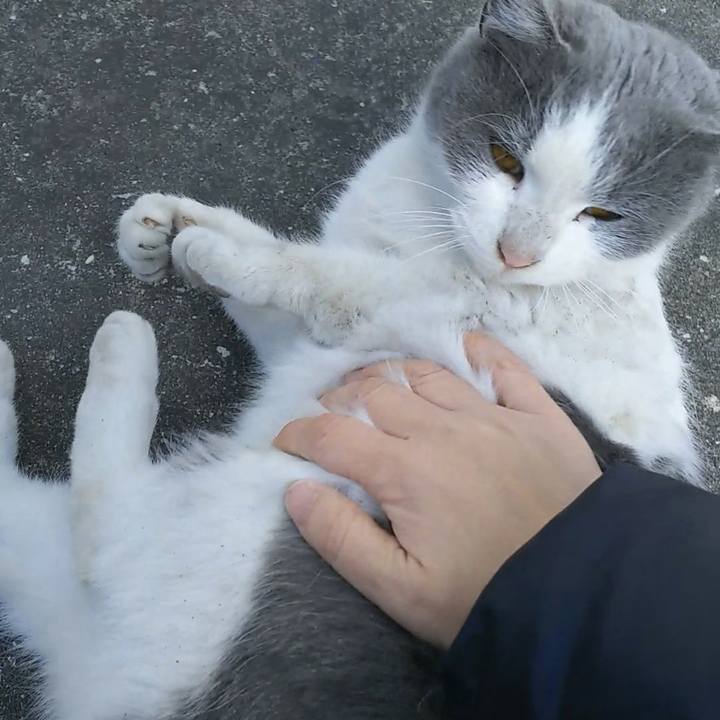 A93496f9 fb50 42b6 9670 867a97f3a54c 1548558089872