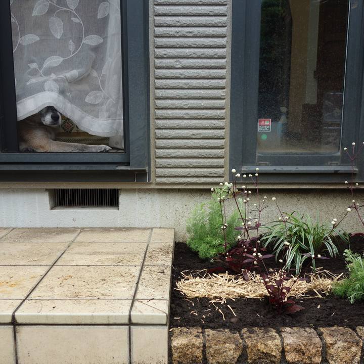 A934c7af 64e7 4fea 9069 ff8fda973dab 1568597501660