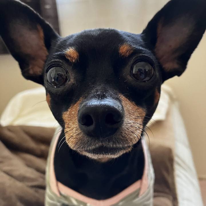 A934cc7a 3440 4593 a651 fcb9985f2a0d 1689423426496