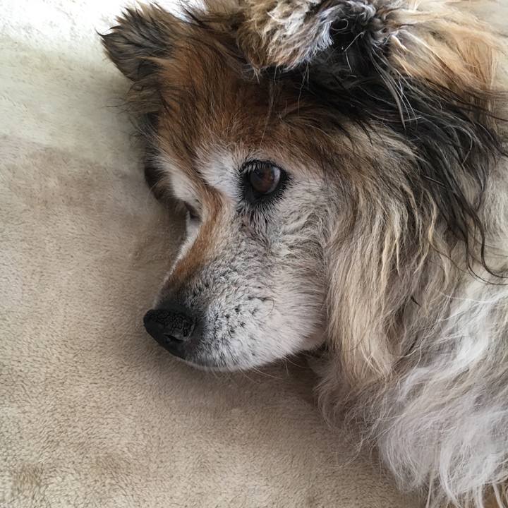 A9353bc0 e4fc 4825 9588 da0c703ee4b8 1559000760194