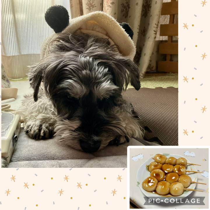 A9357616 1333 4981 a6cf ff02d4633dfe 1772028884172