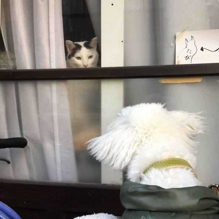 A9357796 9d7a 4d56 9180 7b8375fce313 1514000737609