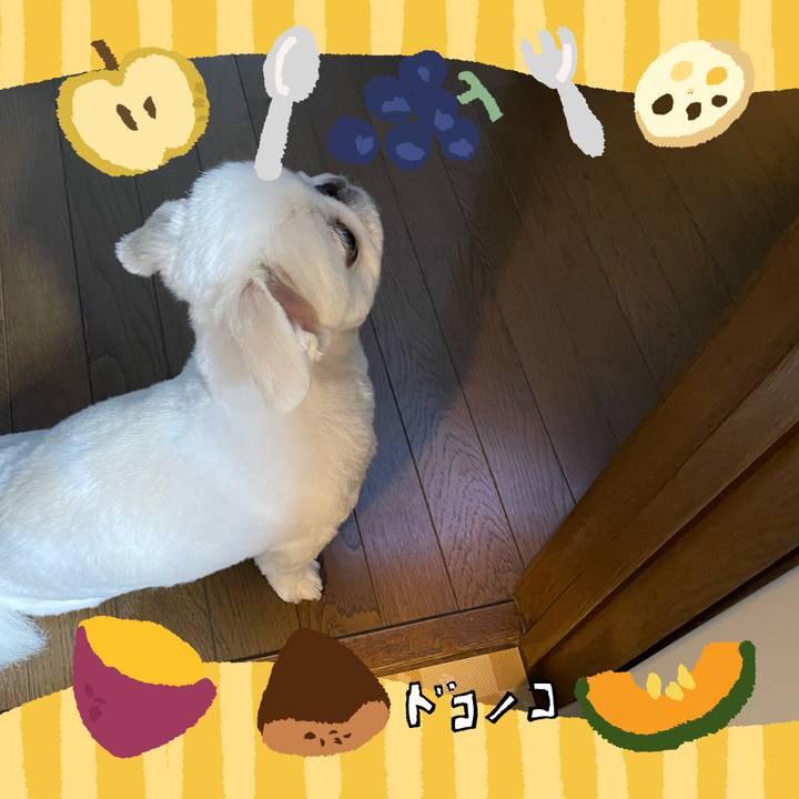 A9358013 9748 49f9 b7c0 4356b6073220 1727302165106