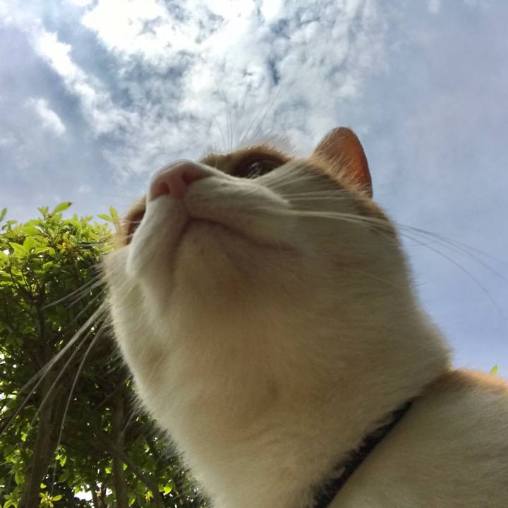 A935e272 7802 49f3 abaf 222087be8d87 1528428218706