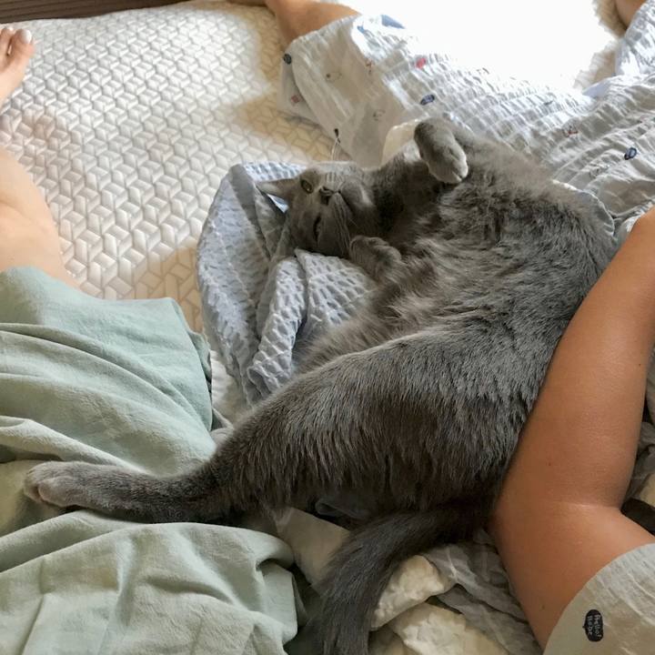 A93600fd 2045 4351 b084 8d3605300e31 1594534214887