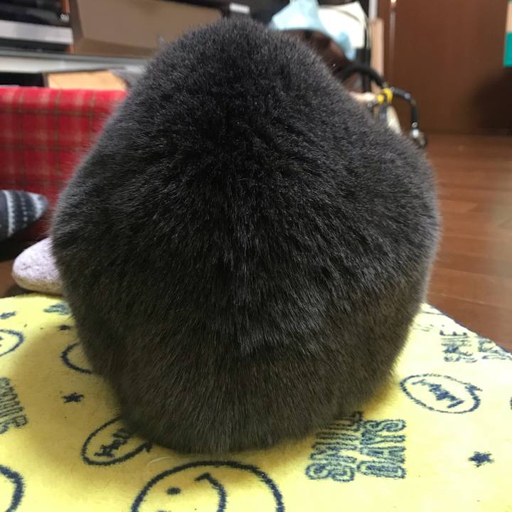 A936413c 41ef 4b01 9384 4fbff22e111b 1543102617657