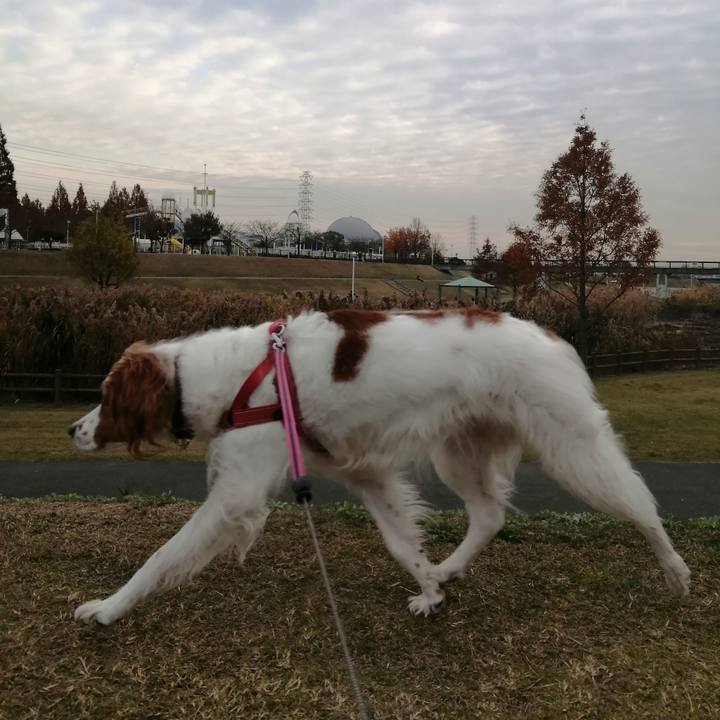 A9367712 49b9 48c0 a023 86be0a59529d 1607339127521